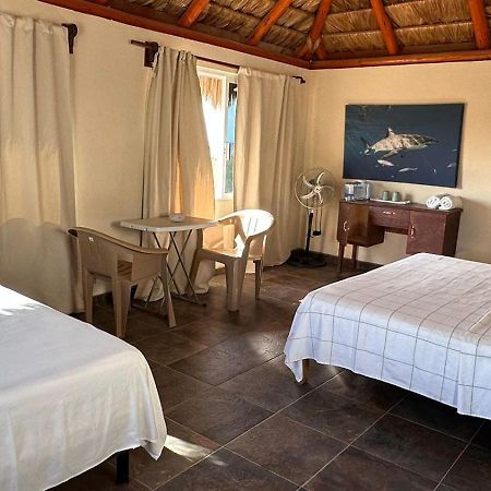 Bungalows Las Palmas Cabo Pulmo 외부 사진