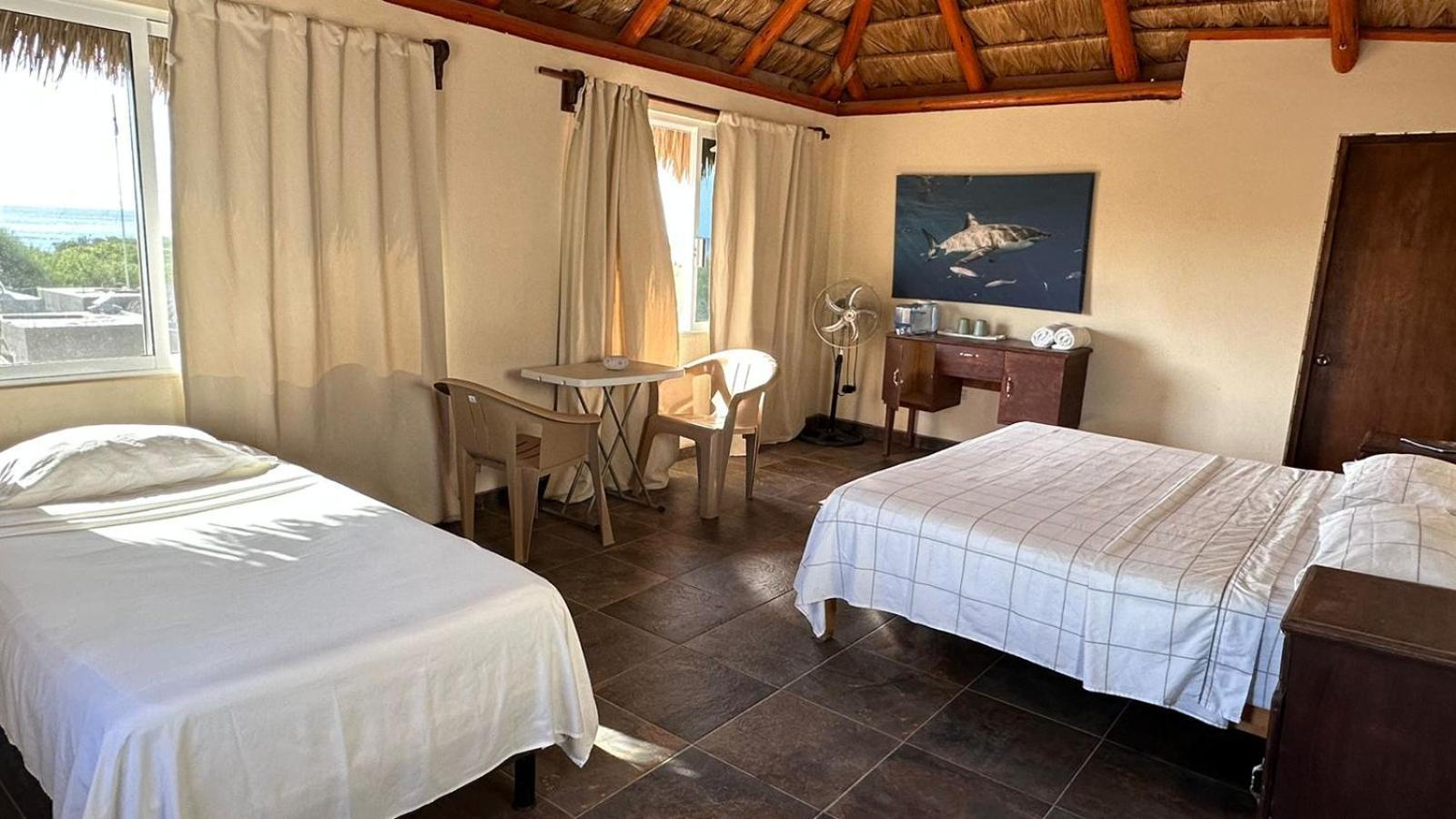 Bungalows Las Palmas Cabo Pulmo 외부 사진